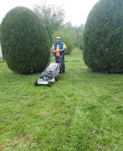 Entretien paysager image 5