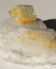 Roig Raymond image 13