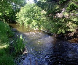 Camping & Ferienpark Waldfrieden Bild 16