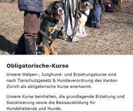 Sundogs Hundeschule Bild 4