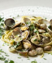 Gallery Professionale