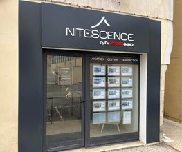 Nitescence image 5