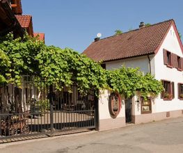 Weingut & Gästehaus Thomas Schwibinger Bild 5