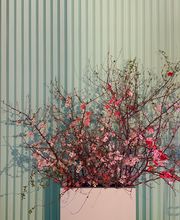 Behind The Scenes Productions image 15