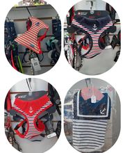 Artist'O Chien image 10