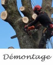 Au Près des Arbres image 5