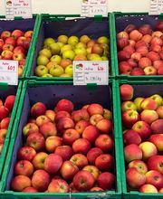 Rheinobst Genossenschaft Bild 10