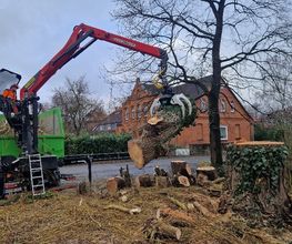 Baum-plus GmbH Bild 4