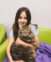 Pawsitive Wellness Veterinary Care LLC image 1