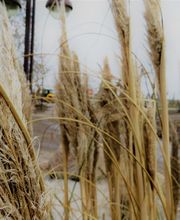 Sund Gartenbau eGbR Bild 1