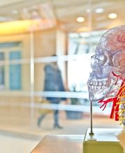 Escuela Diaphragma imagen 12