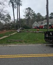 Southeast Tree image 5