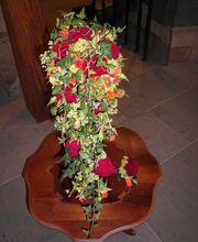 Blumen Schmutz Bild 2