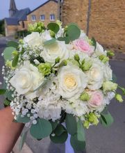 Delphiflore image 10