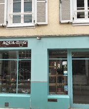 Aqua Dog image 4