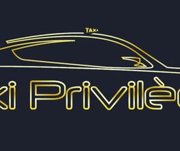 Taxi Privilege image 14