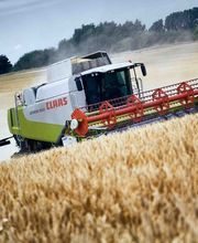 Agrargut Malkwitz KG Bild 5
