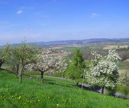 Aussicht Grüner Berg Meersburg