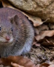 CIADIT SUISSE SA Bild 12