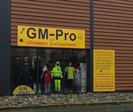 Gm Pro image 4