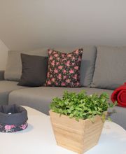 Kartoffelhof Daiber Bild 15