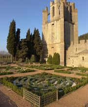 Abbaye de Lagrasse image 6