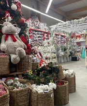 Centrakor / Zoé Confetti Argences image 6