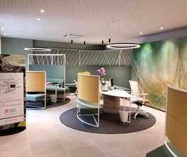 Gallery Cliente