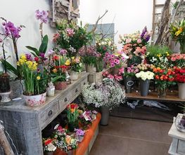 Fleurs et Bois image 8