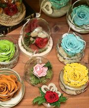 Au Fil des Saisons image 11