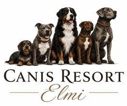 Hundeschule Elmi Bild 1