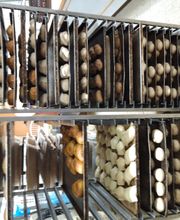 Karl-Heinz Cramer Bäckerei - Backen aus Leidenschaft Bild 2