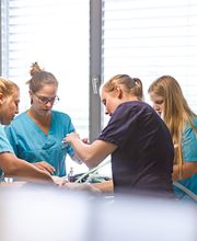 Kleintierpraxis im Moos AG Bild 2