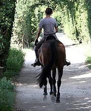 Fumey Frédéric image 4