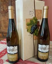 Colon Pierre SCEA image 16