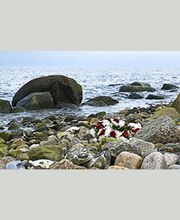 Bestattungen Schreyer GmbH Bild 3