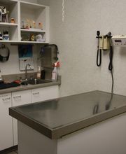 South Putnam Animal Hospital image 10