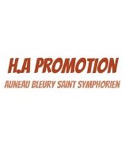 H.A Promotion image 1