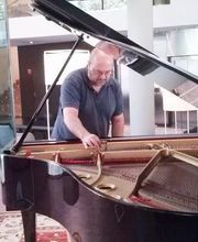 Afinador de Pianos E. Ferrer imagen 2