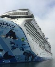 Magnified Vacations CruiseOne image 11