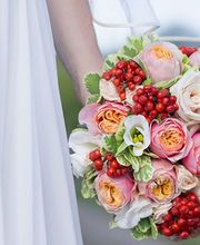 1A Blumen Beck Bild 5