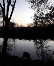 Moulin du Pont image 3