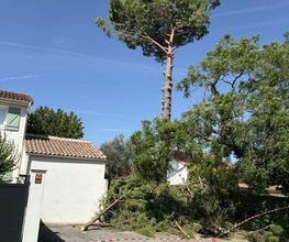 Sannier David Espaces Verts image 3