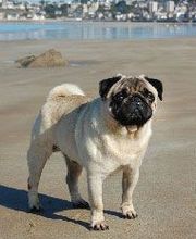 Sandrine Le Rest image 2