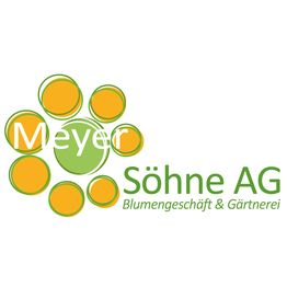 Meyer Söhne AG
