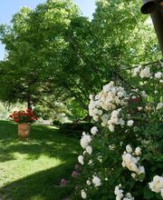 Gites l'Athanor image 3