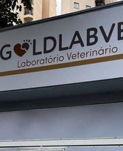 Laboratório Veterinário Gold Lab Vet - Unidade Tatuapé imagen 1