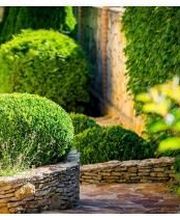 Artisan du Vert Thomas Oudin image 2