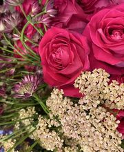 Fleur Evasion Sàrl Bild 4