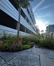 Schneider Gartengestaltung AG Bild 13